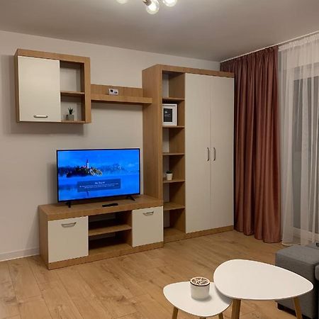 Sunny Apartment In Suceava Exteriör bild